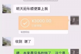 乌马河如何避免债务纠纷？专业追讨公司教您应对之策